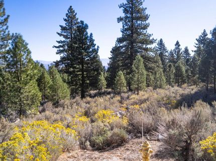221 Rubicon Court, Lot #405, Gardnerville, NV 89460 Photo