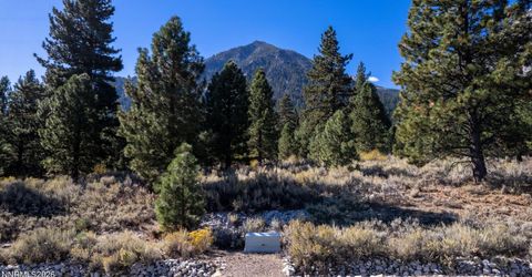 221 Rubicon Court, Lot #405, Gardnerville, NV 89460 Photo