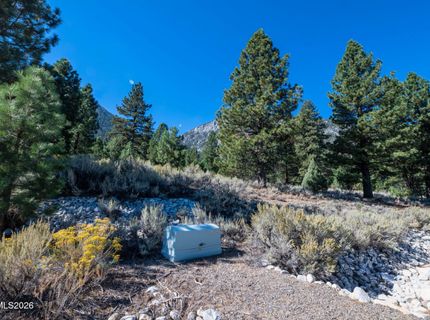 221 Rubicon Court, Lot #405, Gardnerville, NV 89460 Photo