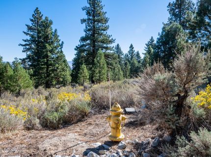221 Rubicon Court, Lot #405, Gardnerville, NV 89460 Photo