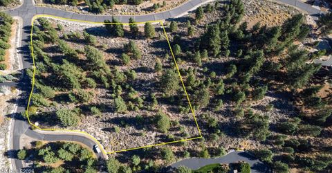 221 Rubicon Court, Lot #405, Gardnerville, NV 89460 Photo