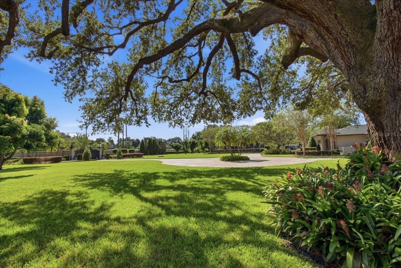 7500 Daetwyler Drive, Belle Isle, FL 32812 Photo
