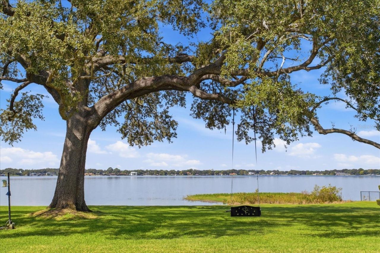 7500 Daetwyler Drive, Belle Isle, FL 32812 Photo