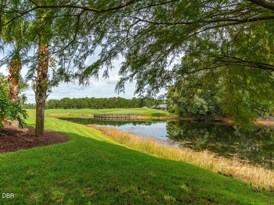 Property Image 63