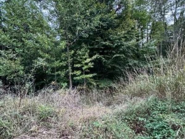 151 S INDEPENDENCE DRIVE, MONTROSS, VA 22520