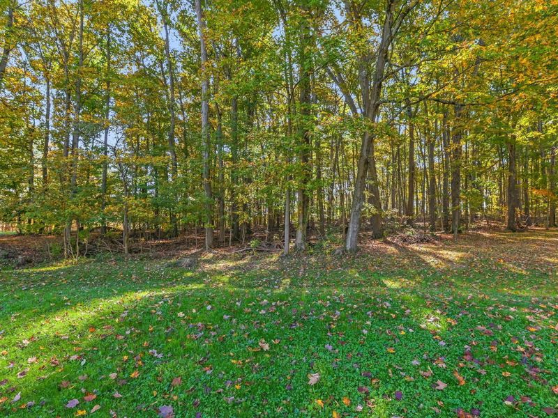 6410 Linnville Road SE, Newark, OH 43056 Photo 50