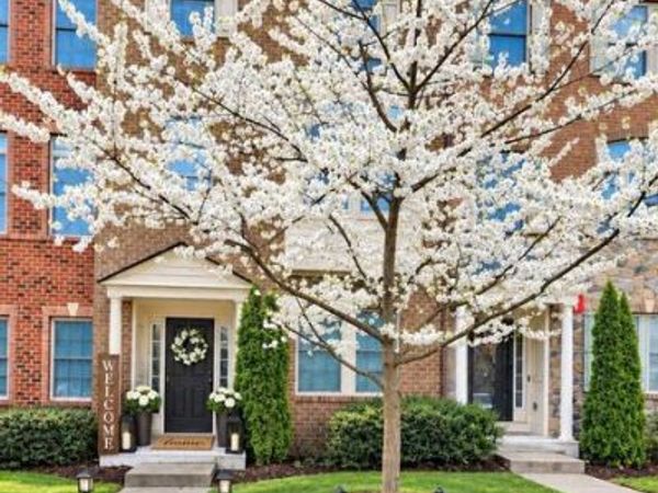 7513 THICKET RUN, HANOVER, MD 21076