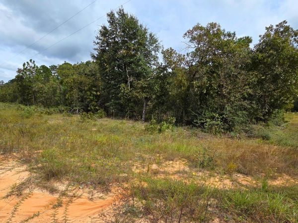 0 Flower Court , Marianna, FL 32448