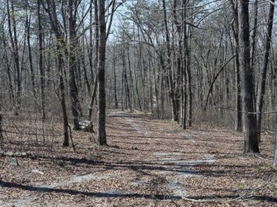 Property Image 19