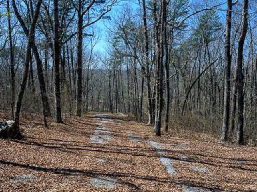 Property Image 9