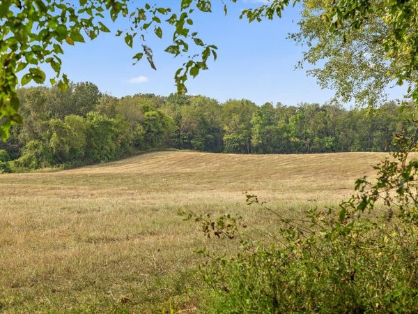 10 Sturgeon Creek rd, Cedar Hill, TN 37032