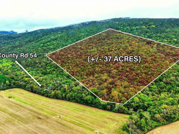 37 County Road 54, Stevenson, AL 35772