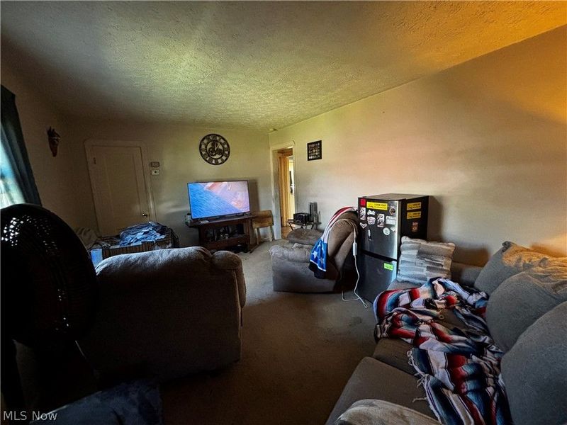 1347 Hammel Street, Akron, OH 44306 Photo 3