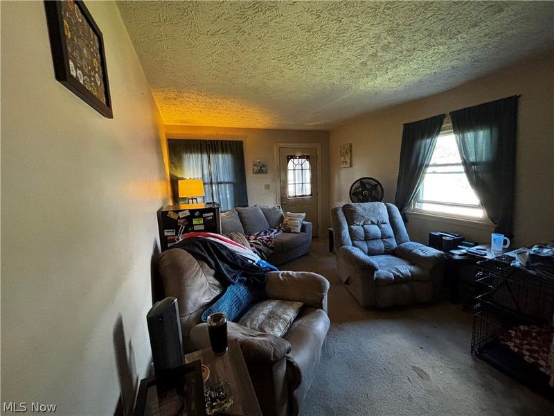 1347 Hammel Street, Akron, OH 44306 Photo 4