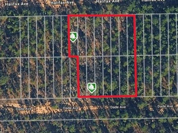 DADE AVE , INTERLACHEN, FL 32148