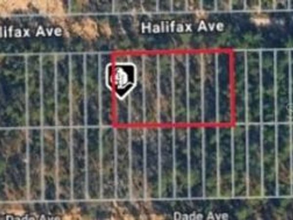 HALIFAX AVE , INTERLACHEN, FL 32148