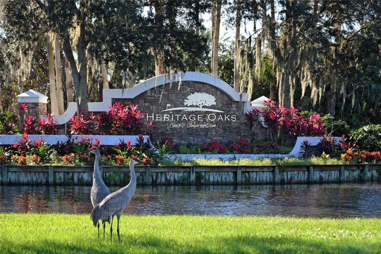 4951 Chase Oaks Drive , Sarasota, FL 34241 Photo