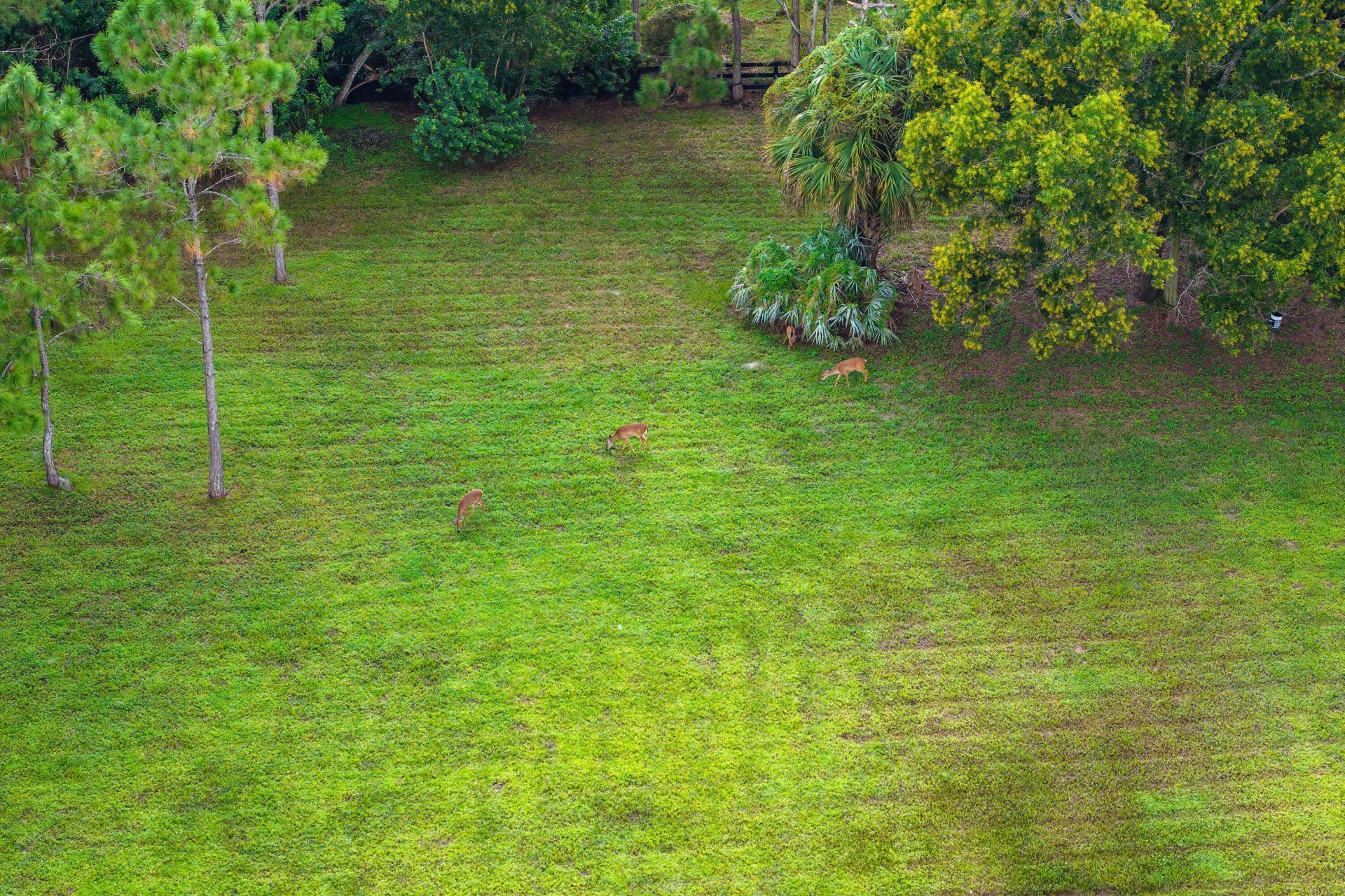 11356 Ira Lane, Lake Worth, FL 33449 Photo