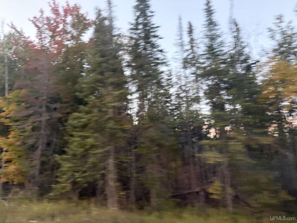 TBD W Quarry Rd Road, Mueller Twp, MI 49840