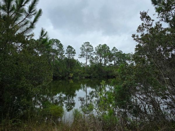 0 Carter Community Road , Folkston, GA 31537