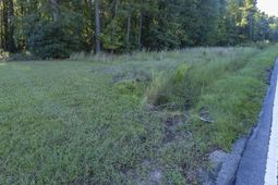 0 Plowden Mill Road photo 4