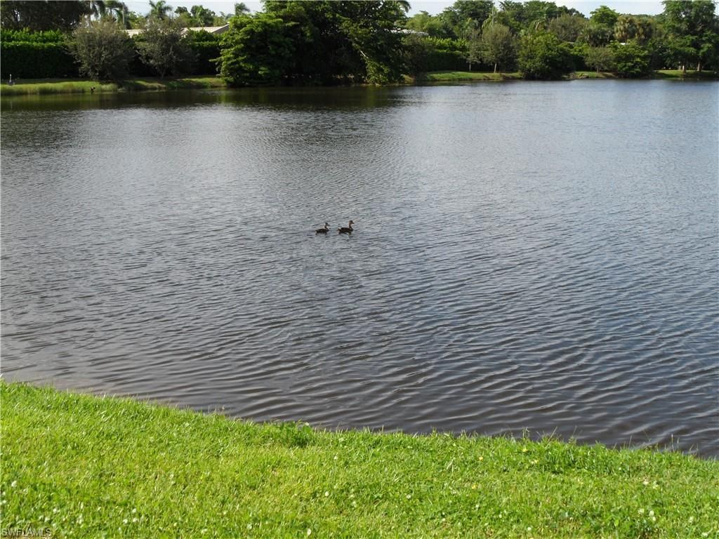 9860 Owlclover St , Fort Myers, FL 33919 Photo