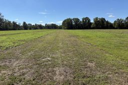 15828 Ace Basin (lot #2) Parkway Parkway  photo 4