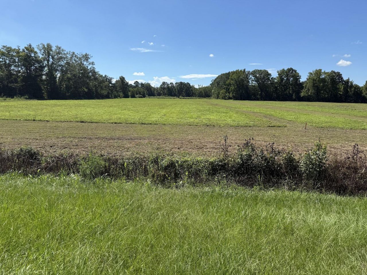 15828 Ace Basin (lot #2) Parkway Parkway  Photo 9