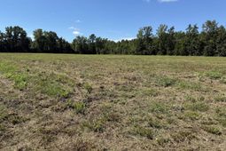 15844 Ace Basin (lot #3) Parkway Parkway  photo 4