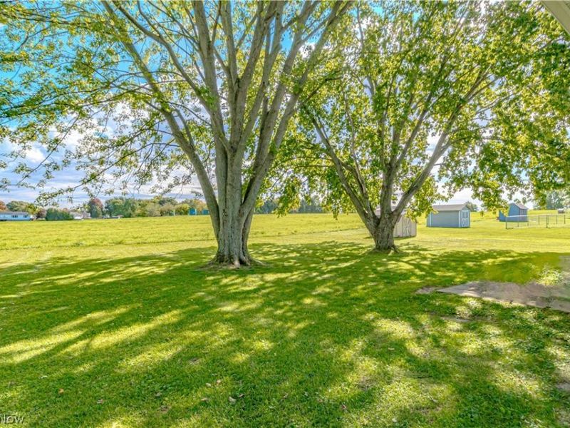 149 Pine Street, Creston, OH 44217 Photo 19