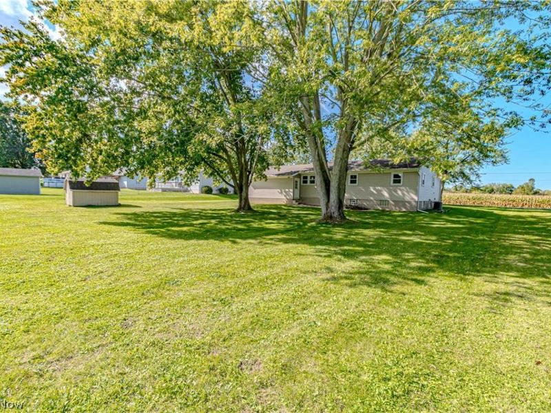 149 Pine Street, Creston, OH 44217 Photo 20