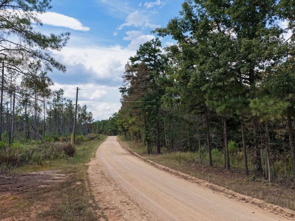 0 Coy Hill Rd , Unit 1, Savannah, TN 38372