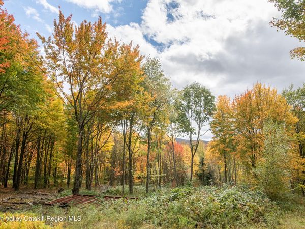 0 Turkey Lane , Stamford, NY 12167
