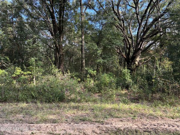 0 DEBRA Circle, Interlachen, FL 32148