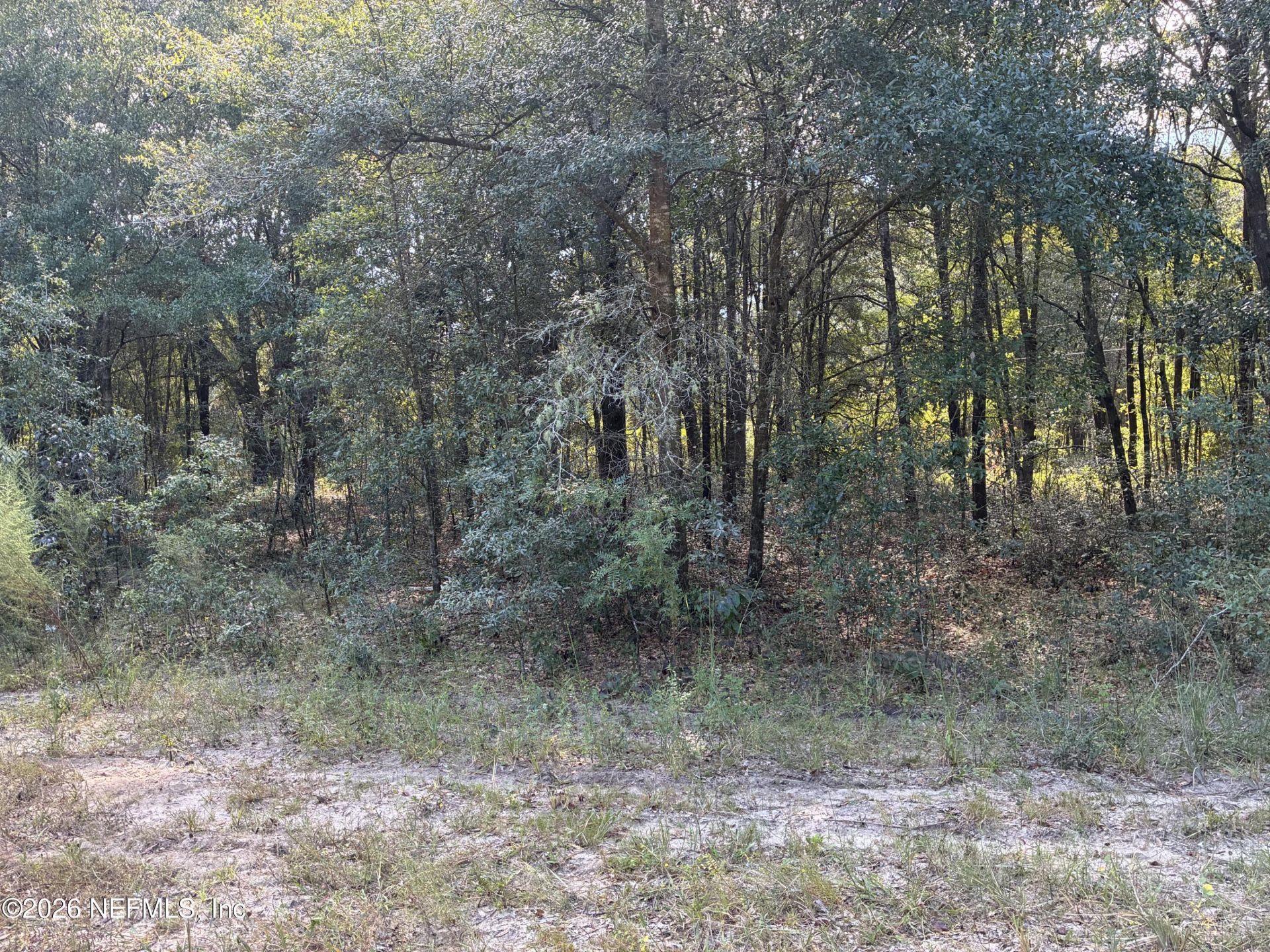 0 Debra Circle, Interlachen, FL 32148 Photo