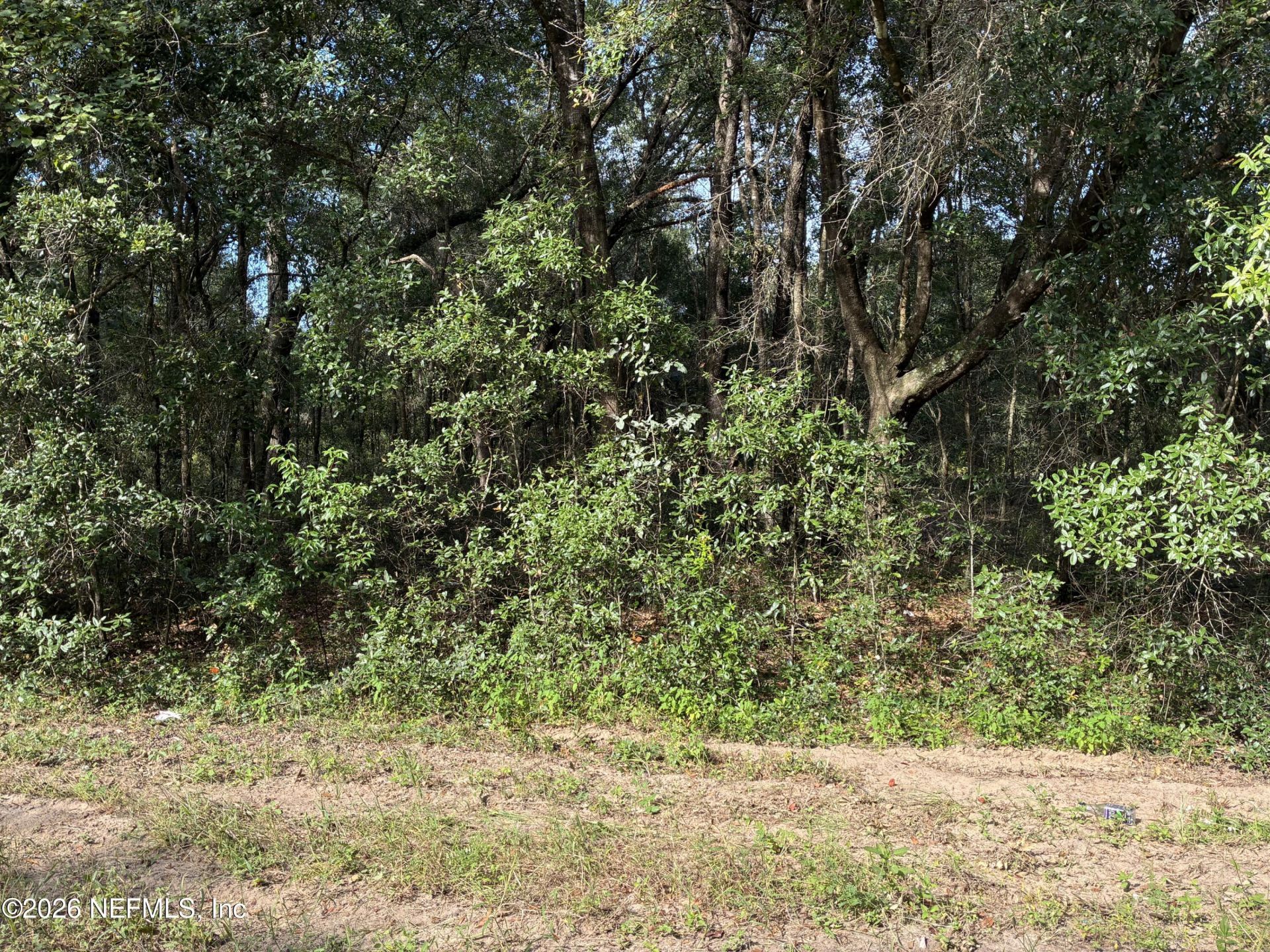 0 Debra Circle, Interlachen, FL 32148 Photo