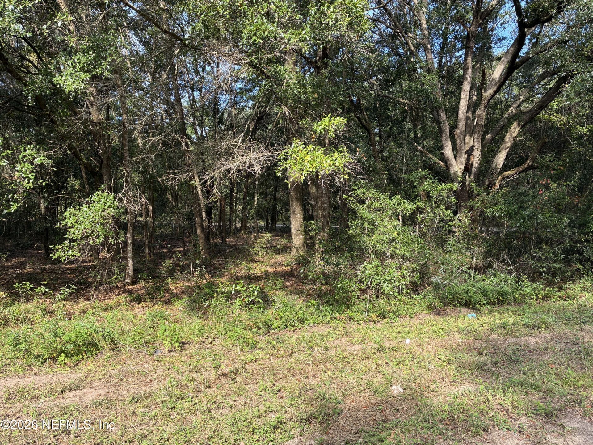 0 Debra Circle, Interlachen, FL 32148 Photo