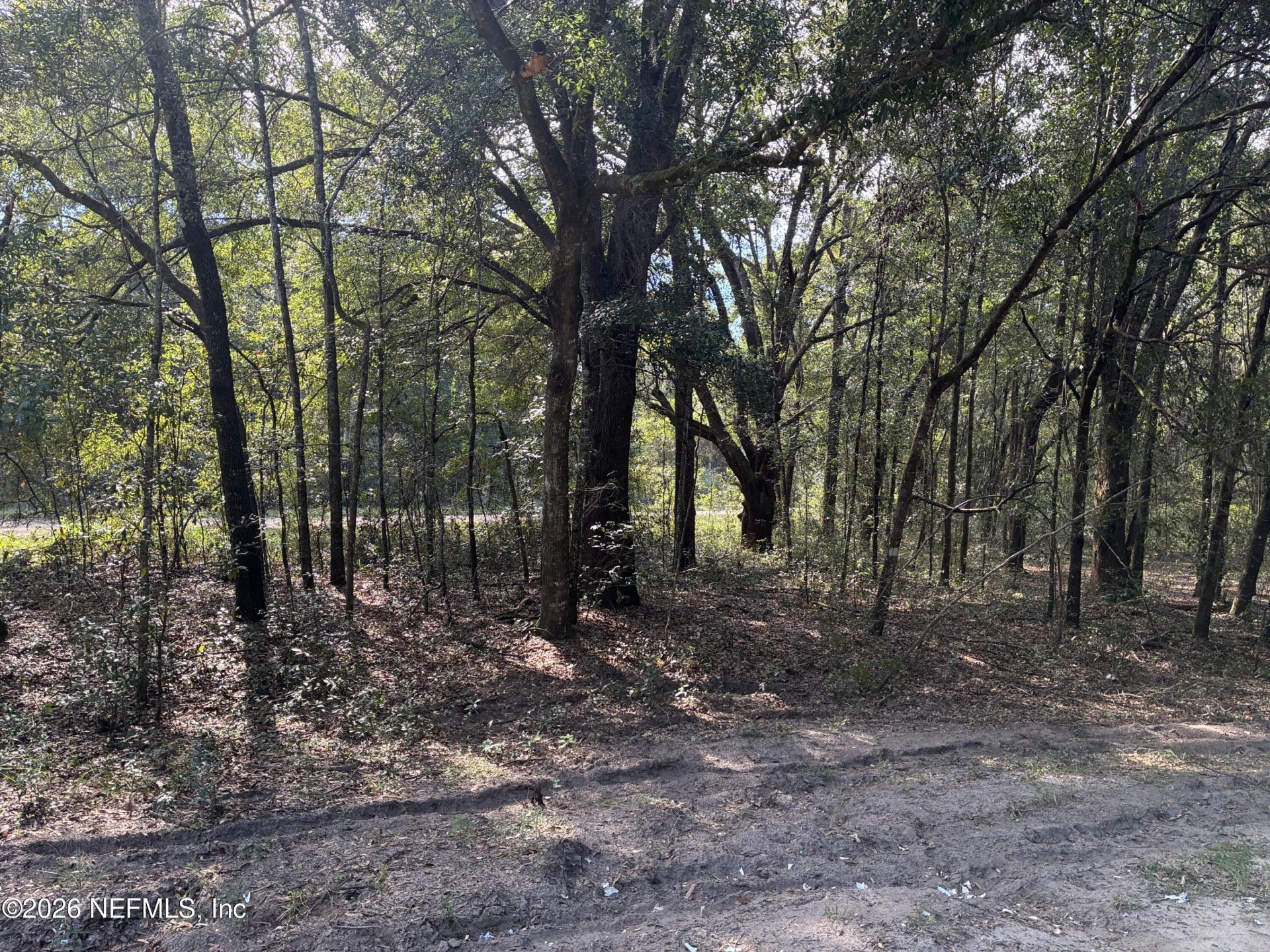 0 Debra Circle, Interlachen, FL 32148 Photo