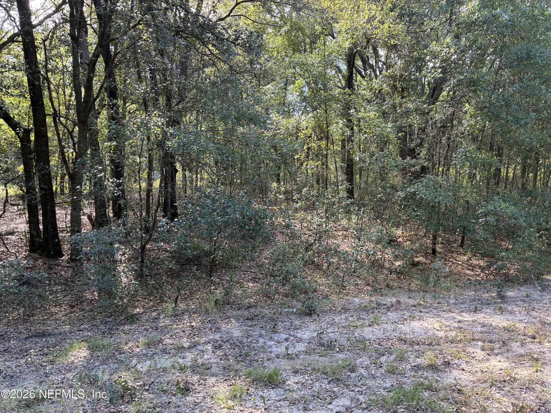 0 Debra Circle, Interlachen, FL 32148 Photo