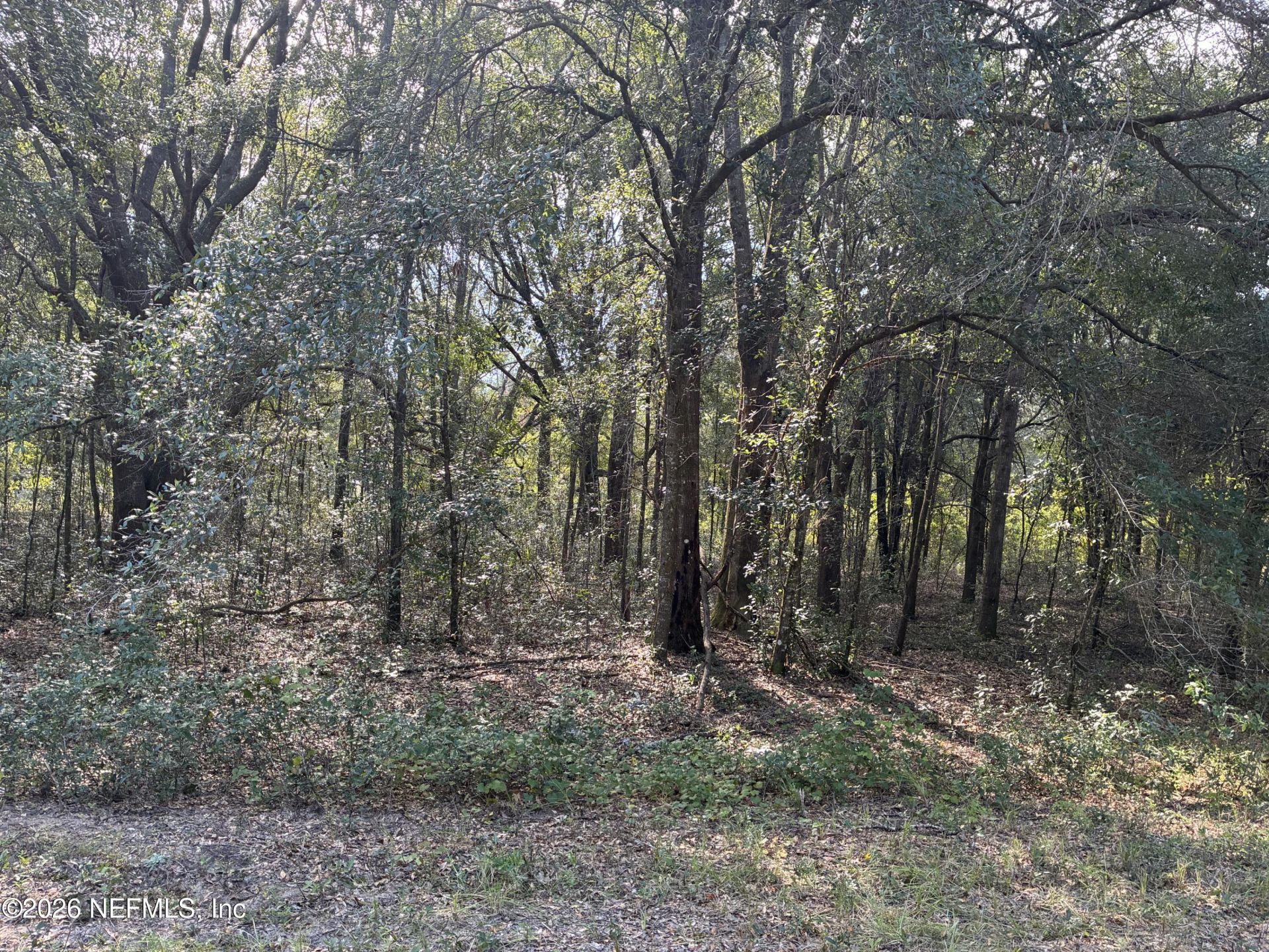 0 Debra Circle, Interlachen, FL 32148 Photo