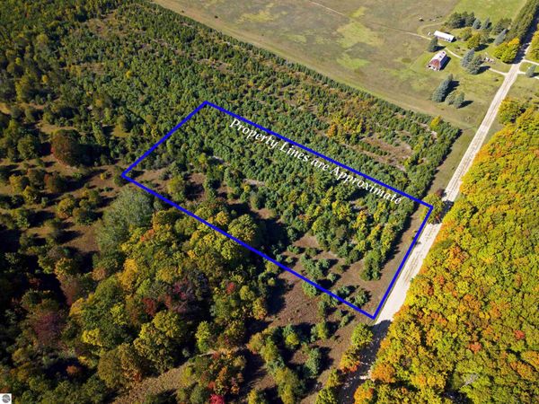 Shively Road, Fife Lake, MI 49633