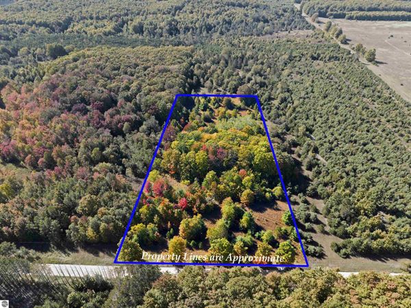 Shively Road, Fife Lake, MI 49633