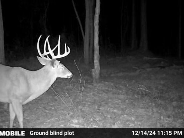 0 Sam Bradley, Americus, GA 31709