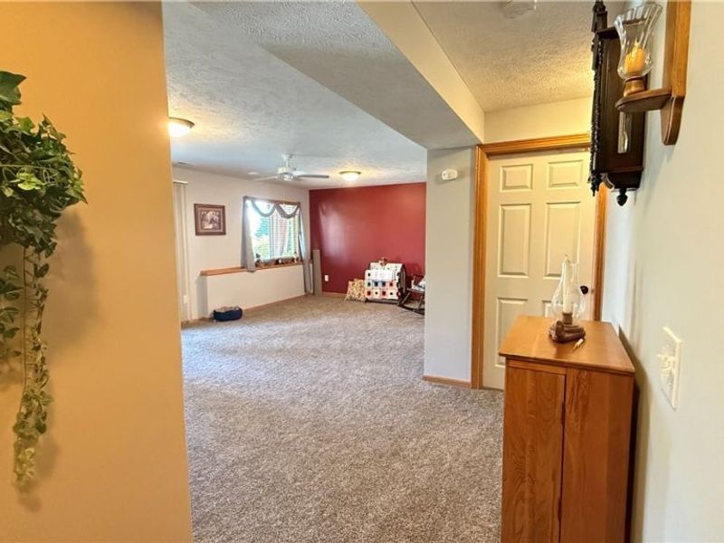 1149 Briarcliff Drive, Akron, OH 44312 Photo 20