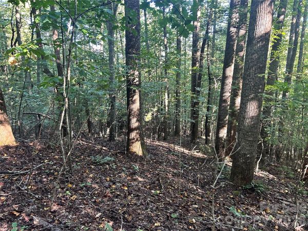 TBD Mt Hebron Road , Hendersonville, NC 28739