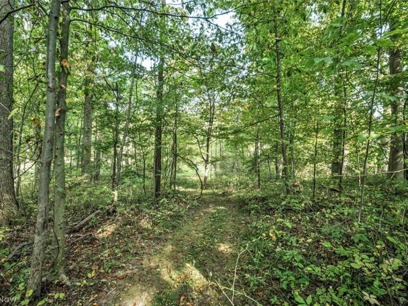 3583 W. Bath Rd. , Akron, OH 44333 Photo 38