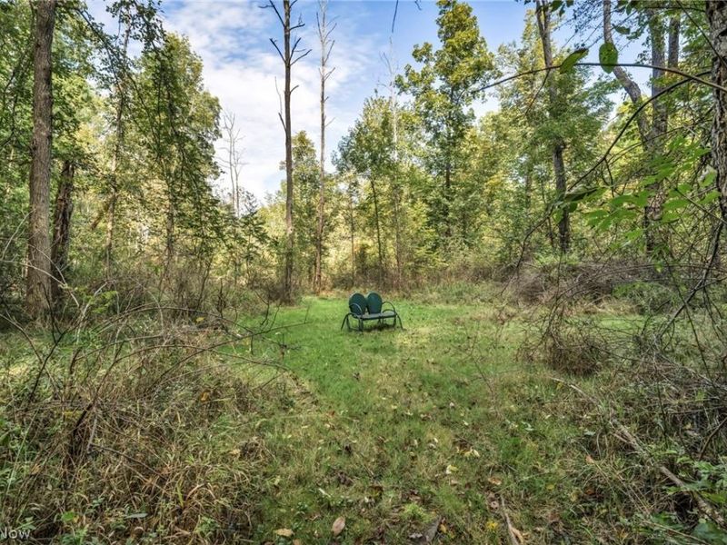 3583 W. Bath Rd. , Akron, OH 44333 Photo 39