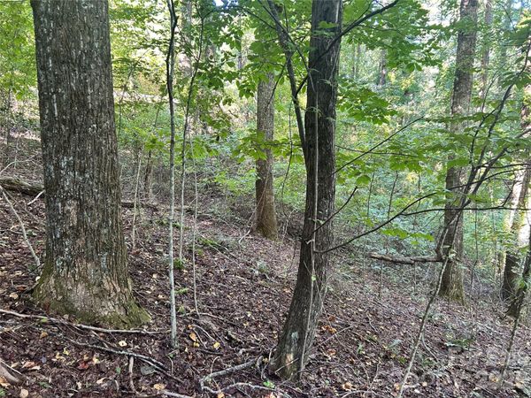 573 Solomon Circle , Hendersonville, NC 28739