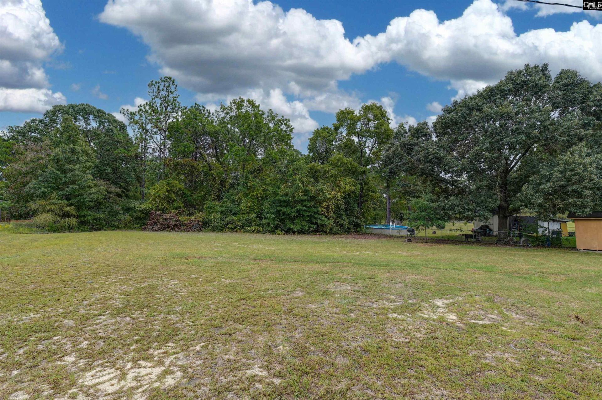 1731 Fort Jackson Road  Photo 33