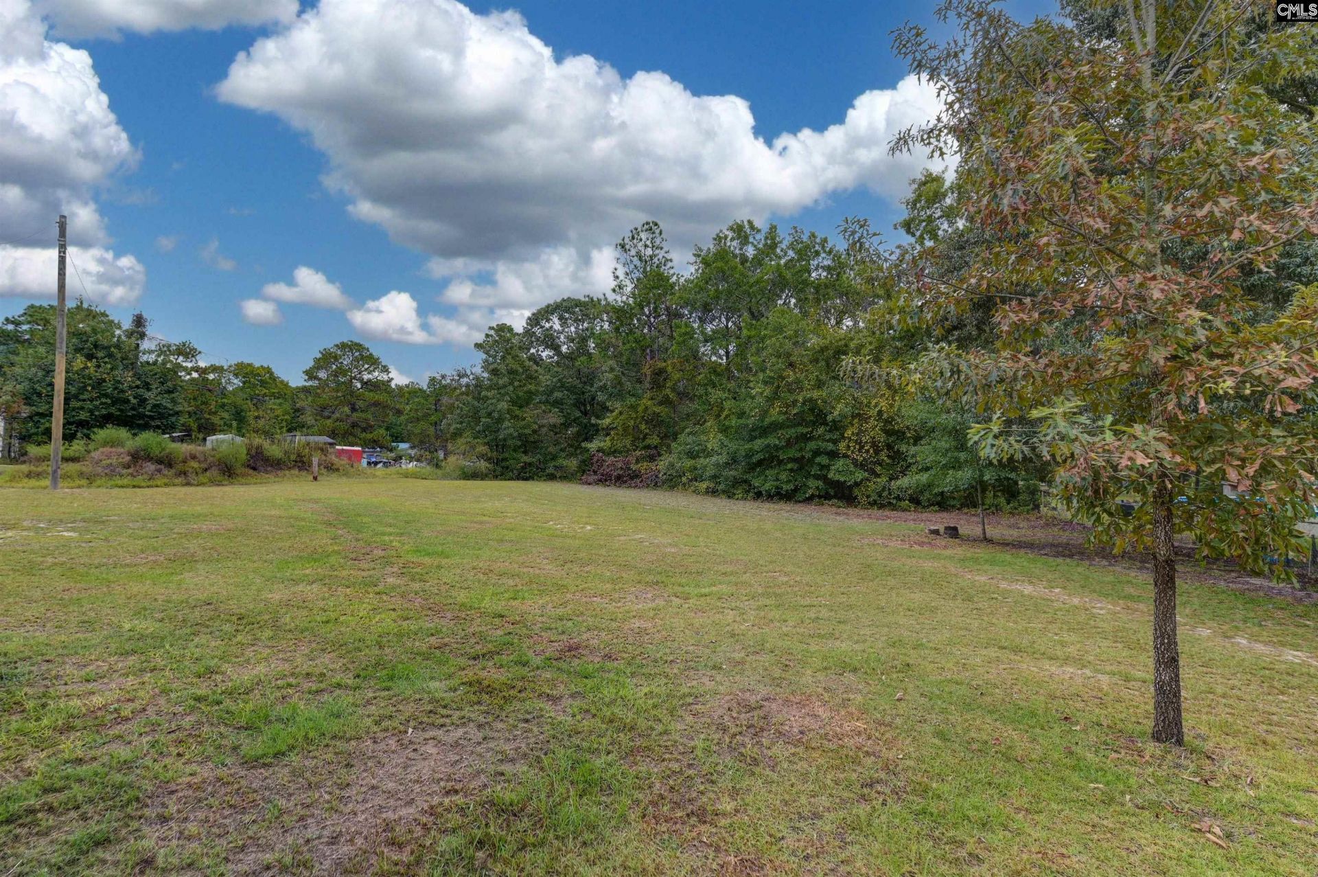 1731 Fort Jackson Road  Photo 36